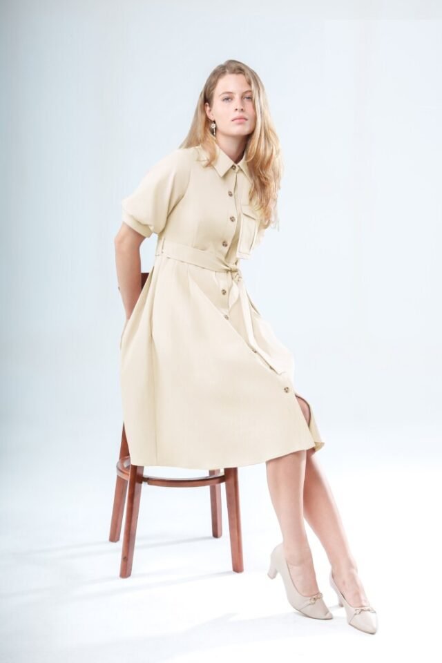 Timeless Charm Button Dress