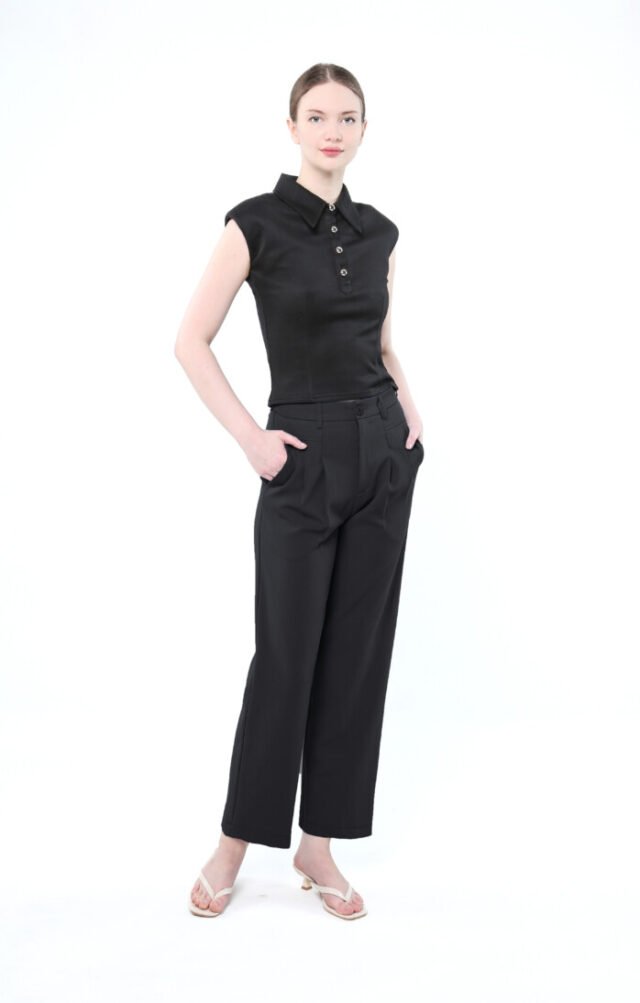 Eve Brand Ladies Double-Pleated Pants E8165BP - Image 2
